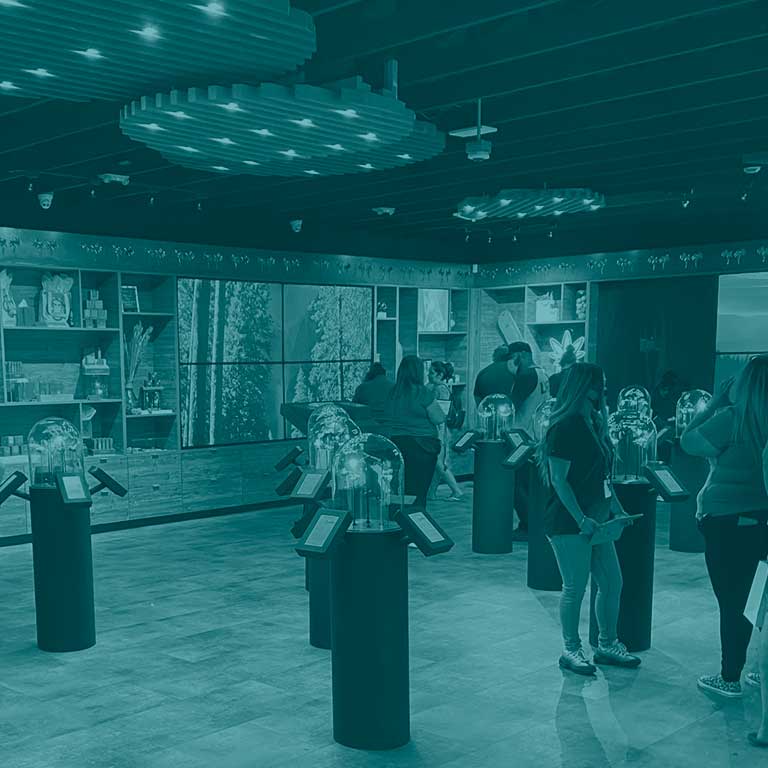 picture of storefronts